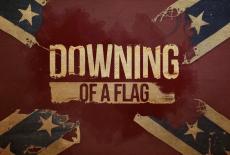 Downing of a Flag: TVSS: Banner-L1