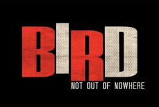 Bird: Not Out of Nowhere: TVSS: Banner-L1