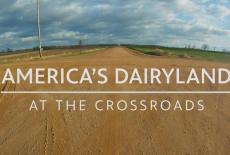 America's Dairyland at the Crossroads: TVSS: Banner-L1