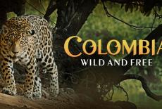 Colombia -- Wild and Free: TVSS: Banner-L1