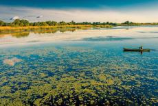 Rivers of Life: TVSS: Iconic