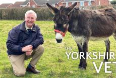 The Yorkshire Vet: TVSS: Banner-L1
