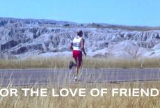 For the Love of Friends: TVSS: Banner-L1