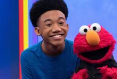 The Not-Too-Late Show With Elmo: Big Bird; Kelvin Dukes: TVSS: Iconic