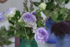 J Schwanke's Life in Bloom: Simply Flowers: TVSS: Iconic