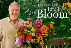 J Schwanke's Life in Bloom: TVSS: Banner-L1