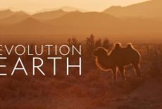 Evolution Earth: TVSS: Banner-L1