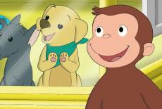 Curious George: Curious George and the Lost Puppy; Gnocchi's Purr-fect Day: TVSS: Iconic