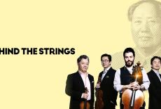 Behind the Strings: TVSS: VOD Art