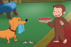Curious George: Locked Out; Bark Suit: TVSS: Iconic