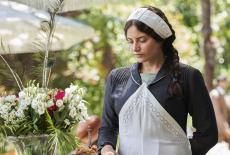 Hotel Portofino: Uncoverings: TVSS: Iconic