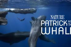 Nature: Patrick and the Whale: TVSS: Banner-L1