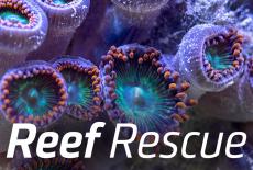 NOVA: Reef Rescue: TVSS: Banner-L1