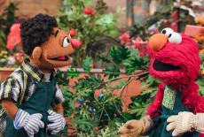 Sesame Street: Community Garden Cleanup: TVSS: Iconic