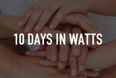 10 Days in Watts: TVSS: Staple