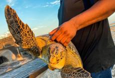 Dynamic Planet: Water: TVSS: Iconic