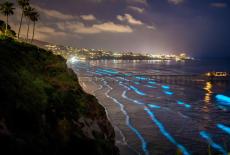 Nature: San Diego: America's Wildest City: TVSS: Iconic