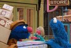 Sesame Street: Prairie Dawn's Cookie Party: TVSS: Iconic