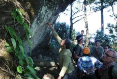 Secrets of the Dead: Lost Treasures of Angkor -- King's Gold: TVSS: Iconic