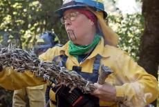 Local, USA: Firelighters: Fire Is Medicine: TVSS: Iconic