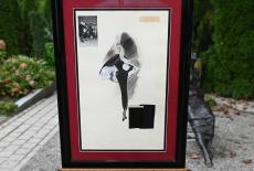 Antiques Roadshow: Grounds for Sculpture Hour 2: TVSS: Iconic