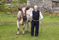 All Creatures Great and Small on Masterpiece: Uninvited Guests: TVSS: Iconic