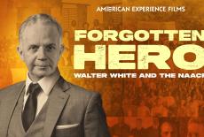 American Experience: Forgotten Hero: Walter White and The NAACP: TVSS: Banner-L1