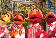 Sesame Street: Sesame Street Song Day: TVSS: Iconic