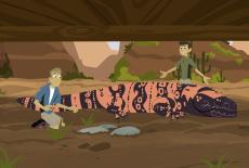 Wild Kratts: Gila Monster Under My House: TVSS: Iconic