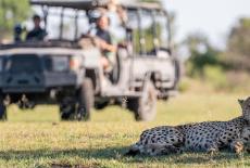 Big Cats 24/7: : TVSS: Iconic