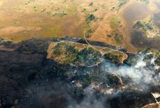 Big Cats 24/7: : TVSS: Iconic