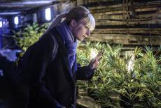 Astrid: The Flowers of Evil: TVSS: Iconic