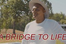 A Bridge to Life: TVSS: Banner-L2