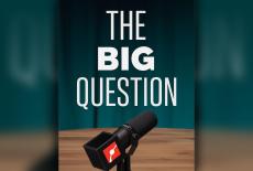 The Big Question: TVSS: Banner-L1