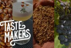 TasteMAKERS: TVSS: Banner-L1