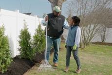 Ask This Old House: Planting Arborvitaes, Storage Rack: TVSS: Iconic