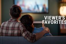 Viewer's Favorites: TVSS: Banner-L2