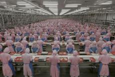 The Invisible Shield: The New Playbook: TVSS: Iconic