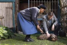 All Creatures Great and Small on Masterpiece: Old Dog, New Tricks: TVSS: Iconic