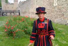 Inside the Tower of London: : TVSS: Iconic