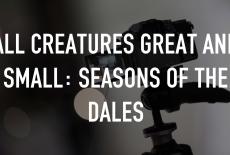 All Creatures Great and Small: Seasons of the Dales: TVSS: Staple