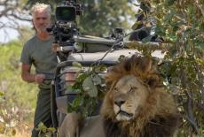 Big Cats 24/7: Seeking the Cheetah: TVSS: Iconic