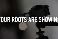 Your Roots Are Showing: TVSS: Staple