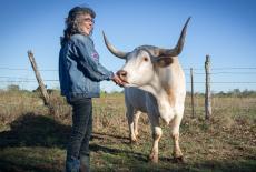 Rowdy Girl: TVSS: Iconic