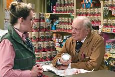 Still Open All Hours: : TVSS: Iconic