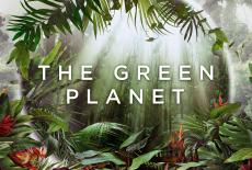 The Green Planet: TVSS: Banner-L1