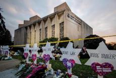 Repairing the World: Stories From the Tree of Life: TVSS: Iconic