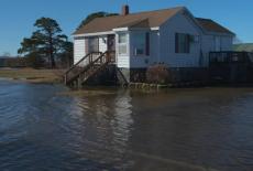 Local, USA: Against the Current: Life on the Eastern Shore: TVSS: Iconic