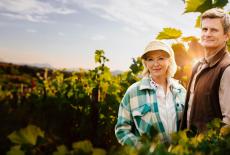 Under the Vines: TVSS: Iconic