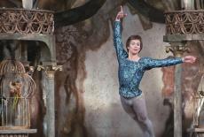 Great Performances: The Magic of Nureyev: TVSS: Iconic